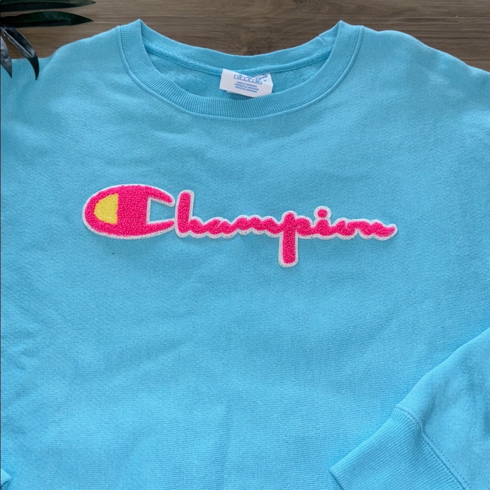 Champion Women’s Reverse Weave Pullover Sweatshirt Size large VINTAGE - Picture 3 of 6